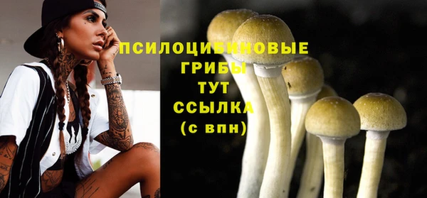 ешки Карпинск