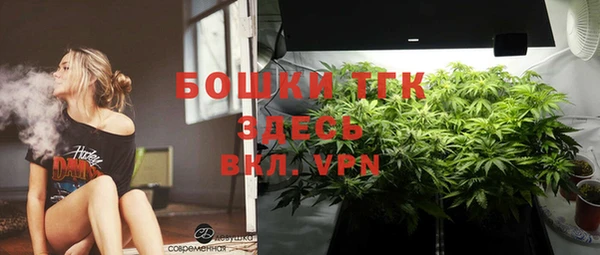 ГАЛЛЮЦИНОГЕННЫЕ ГРИБЫ Касимов
